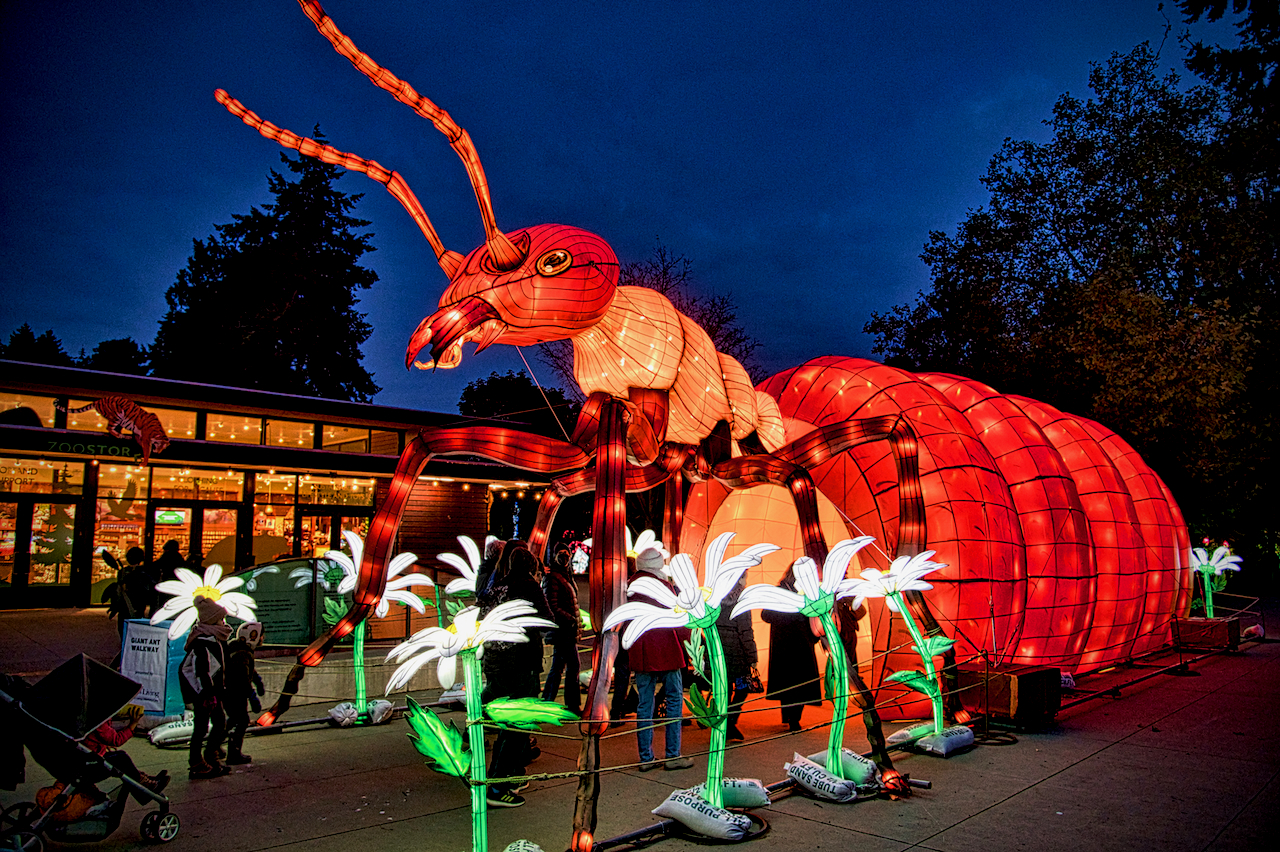Wild Lanterns at Woodland Park Zoo is a mesmerizing, illuminated